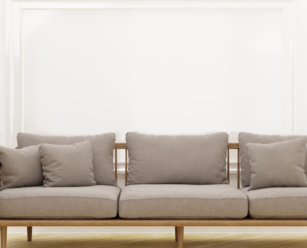 Professional Sofa Cleaners Gurgaon